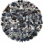 Black Rose Transparent Sitckers