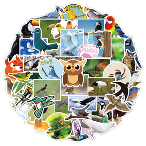 Cute Bird Stickers