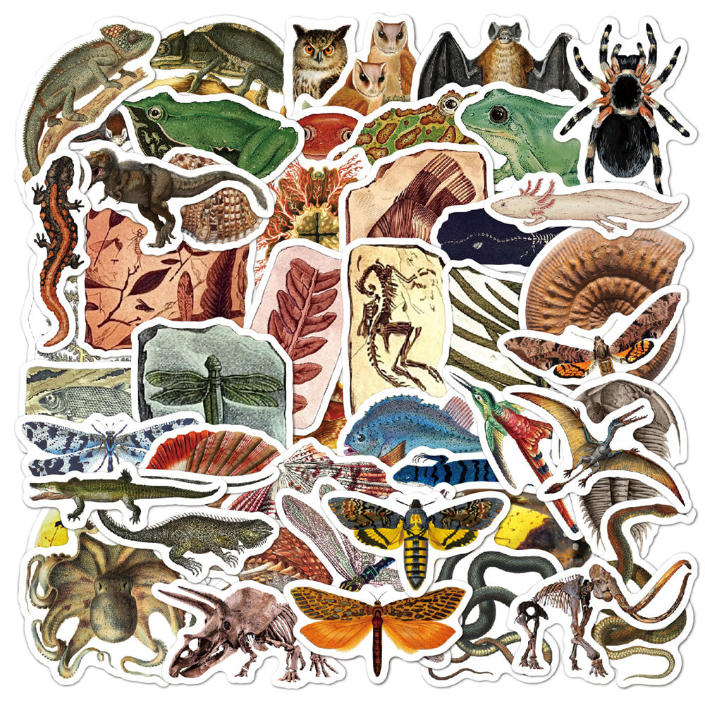Autocollants fossiles de créatures anciennes