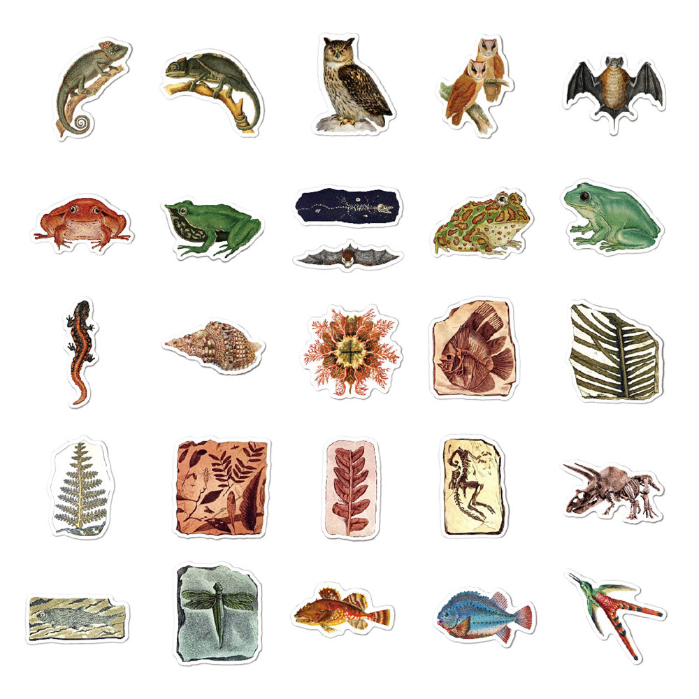 Autocollants fossiles de créatures anciennes