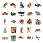 Autocollants fossiles de créatures anciennes