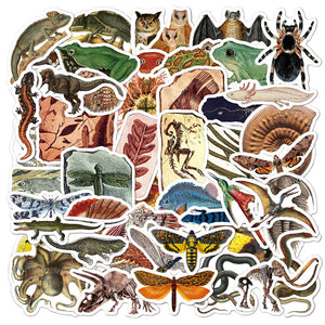 Autocollants fossiles de créatures anciennes